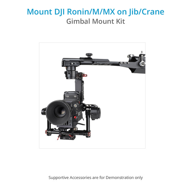 Ærlighed hvis du kan fællesskab Proaim Jib/Crane Camera Gimbal Mount Kit for DJI Ronin/M/MX