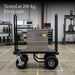 proaim vanguard collapsible utility production cart for film television photo industry